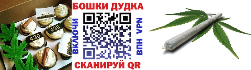 где найти   Котлас  мега как зайти  Cannafood конопля 