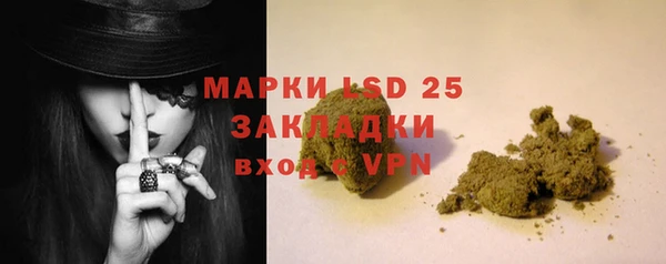ГАЛЛЮЦИНОГЕННЫЕ ГРИБЫ Белокуриха