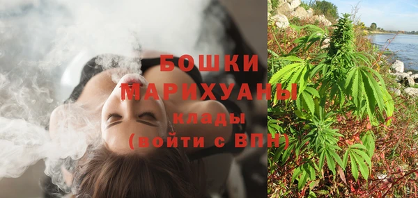 ГАЛЛЮЦИНОГЕННЫЕ ГРИБЫ Белокуриха