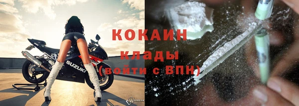ГАЛЛЮЦИНОГЕННЫЕ ГРИБЫ Белокуриха